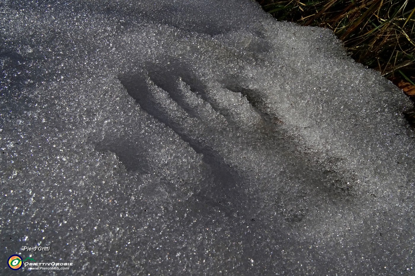 23 E ci lascio l'impronta della mano.JPG -                                